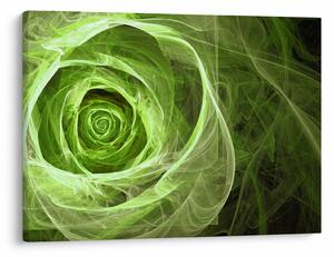 Tablou - Abstract Rose Green (70x50 cm)