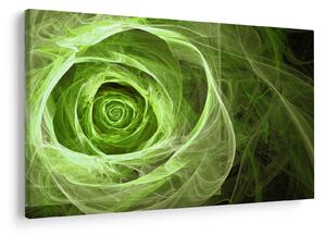 Tablou - Abstract Rose Green (90x60 cm)