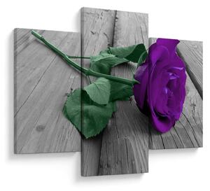 Tablou - Trandafir violet cu tulpina verde (90x60 cm)