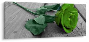 Tablou - Trandafir verde (120x50 cm)