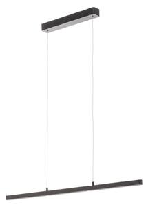 Lustră Pendul Paulmann, Lento, reglabil, Negru, Camera de zi, Metal, Modern