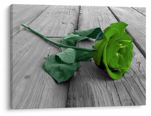 Tablou - Trandafir verde (70x50 cm)