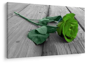 Tablou - Trandafir verde (90x60 cm)