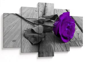 Tablou - Trandafir violet cu tulpina verde (150x105 cm)