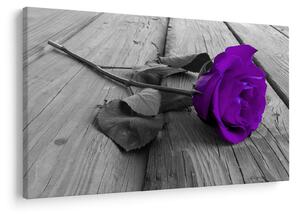 Tablou - Trandafir violet cu tulpina verde (90x60 cm)