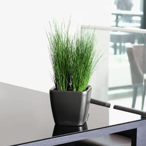 LECHUZA 442096 Table Planter "QUADRO LS 21 ALL-IN-ONE" Charcoal Metallic 16123