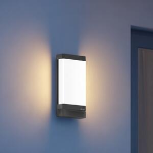 STEINEL Lampa de exterior cu LED Smart L 271 DIGI C, antracit, IP44, reglabil, Negru, Metal, Modern
