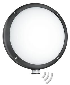 STEINEL L 330 S aplică LED de exterior cu senzor, Negru, Plastic, Modern