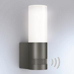 STEINEL L 605 S aplică LED de exterior senzor IP44, Negru, Metal, Modern