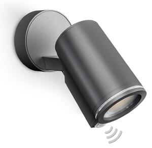 Lămpi de exterior STEINEL, Spot One SC, Negru, Metal, Modern