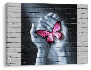 Tablou - Fluture roz în perete (70x50 cm)