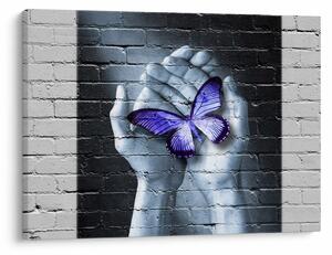 Tablou - Fluture violet pe perete (70x50 cm)