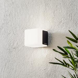 STEINEL L 835 C LED lampă de perete pentru exterior, antracit, reglabil, Negru, Plastic, Modern