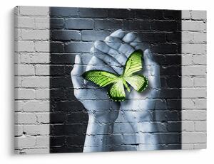 Tablou - Fluture verde în perete (70x50 cm)