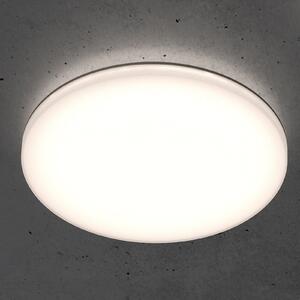 STEINEL RS PRO R20 basic SC plafonieră LED 4.000K, reglabil, Alb, Bucătărie, Plastic, Modern