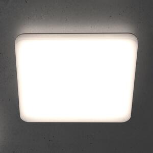 STEINEL RS PRO R20 Q basic plafonieră LED 4.000K, reglabil, Alb, Bucătărie, Plastic, Modern