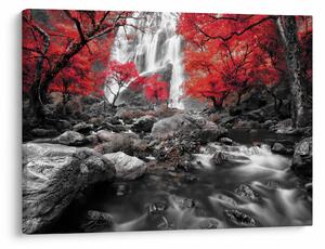 Tablou - Cascade în peisajul de toamnă (70x50 cm)