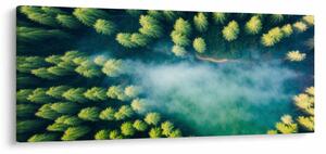 Tablou - O pădure învăluită în ceață (120x50 cm)