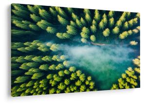 Tablou - O pădure învăluită în ceață (90x60 cm)