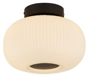 Searchlight Plafonieră Lumina din sticlă sablată, reglabil, Alb, Camera de zi / sufragerie, Sticlă