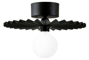 Plafoniere Globen Lighting, Negru, Camera de zi, Metal
