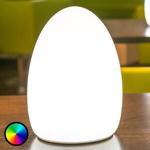 Smart&Green Egg - o lumină decorativă controlată prin aplicație, cu baterie, reglabil, Alb, Plastic, Modern