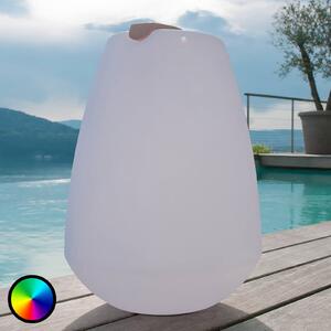 Smart&Green Portabil LED lumina decorativă portabilă Vessel, reglabil, Alb, Plastic, Modern