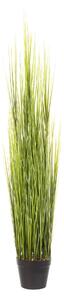 Larbă decorativă Grass 120 cm