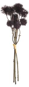 Buchet de Krapsedia 30cm black