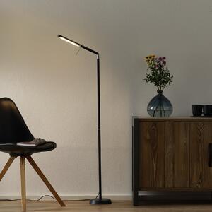 Trio Lighting Lampadar LED Filigran, negru, dimabil, reglabil, reglabil, Negru, Camera de zi / sufragerie, Metal, Modern, Lumină de lectură