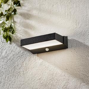 Trio Lighting Aplică LED de exterior Cuando cu senzor mișcare, Negru, Metal, Modern, Priză de perete sus / jos