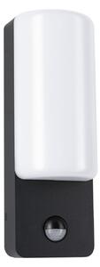 Bonnie LED-aparat de iluminat exterior, antracit, senzor