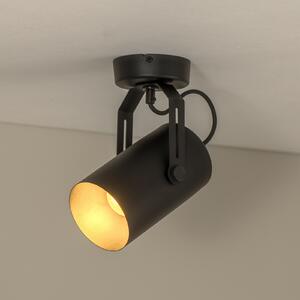 TEMAR LIGHTING Radiator de tavan Reflector, negru, 1 bec, reglabil, Negru, Camera de zi / sufragerie, Metal, Modern