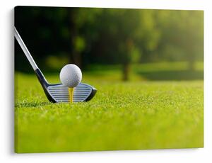 Tablou - Golf (70x50 cm)