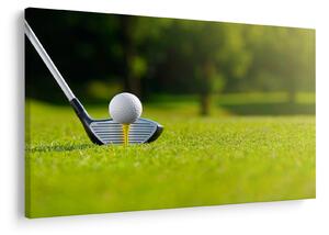 Tablou - Golf (90x60 cm)
