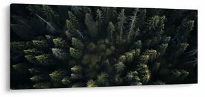 Tablou - Pădure (120x50 cm)