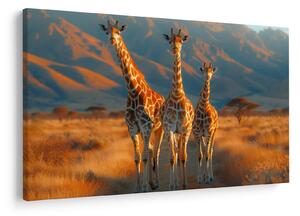Tablou - Girafe pe pășune (90x60 cm)