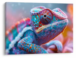 Tablou - Cameleon colorat (70x50 cm)