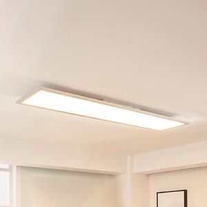Arcchio Panou LED Lysander, 50W, CCT, 119cm, argintiu, reglabil, Metalic, Studiu / Birou, Aluminiu, Modern
