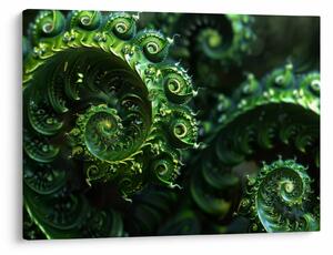 Tablou - Spirale (70x50 cm)