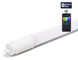 Tub LED fluorescent Aigostar T8/18W/230V 2700-6500K 120 cm