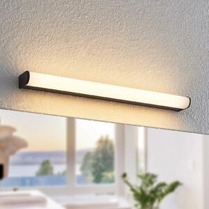 Lindby Ulisan lampă baie LED, rotundă, 58,8 cm, Negru, Baie, Metal, Modern