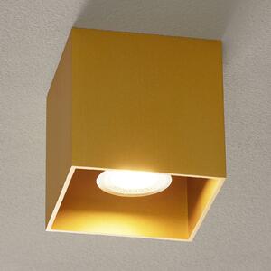 Wever & Ducré Lighting WEVER & DUCRÉ Box 1.0 PAR16 plafonieră auriu, reglabil, Auriu / Alamă, Camera de zi / sufragerie, Metal, Modern