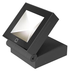 Wever & Ducré Lighting WEVER & DUCRÉ X-Beam 1.0 proiector de exterior antracit, reglabil, Negru, Metal, Modern