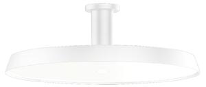 Wever & Ducré Lighting WEVER & DUCRÉ Roomor 1.0 Plafon MP alb 3,000K, reglabil, Alb, Studiu / Birou, Metal