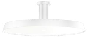 Wever & Ducré Lighting WEVER & DUCRÉ Roomor 1.0 Plafon MP alb 4,000K, reglabil, Alb, Studiu / Birou, Metal