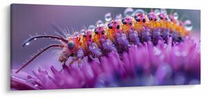 Tablou - Caterpillar (120x50 cm)