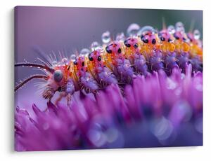 Tablou - Caterpillar (70x50 cm)