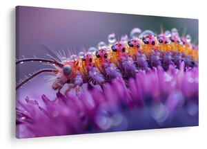 Tablou - Caterpillar (90x60 cm)