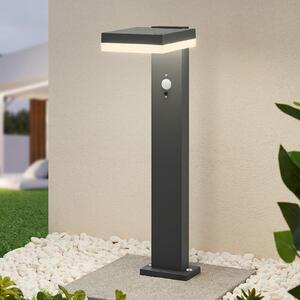 Lindby Laira lampă LED solară cu soclu, 50 cm, Negru, Metal, Modern